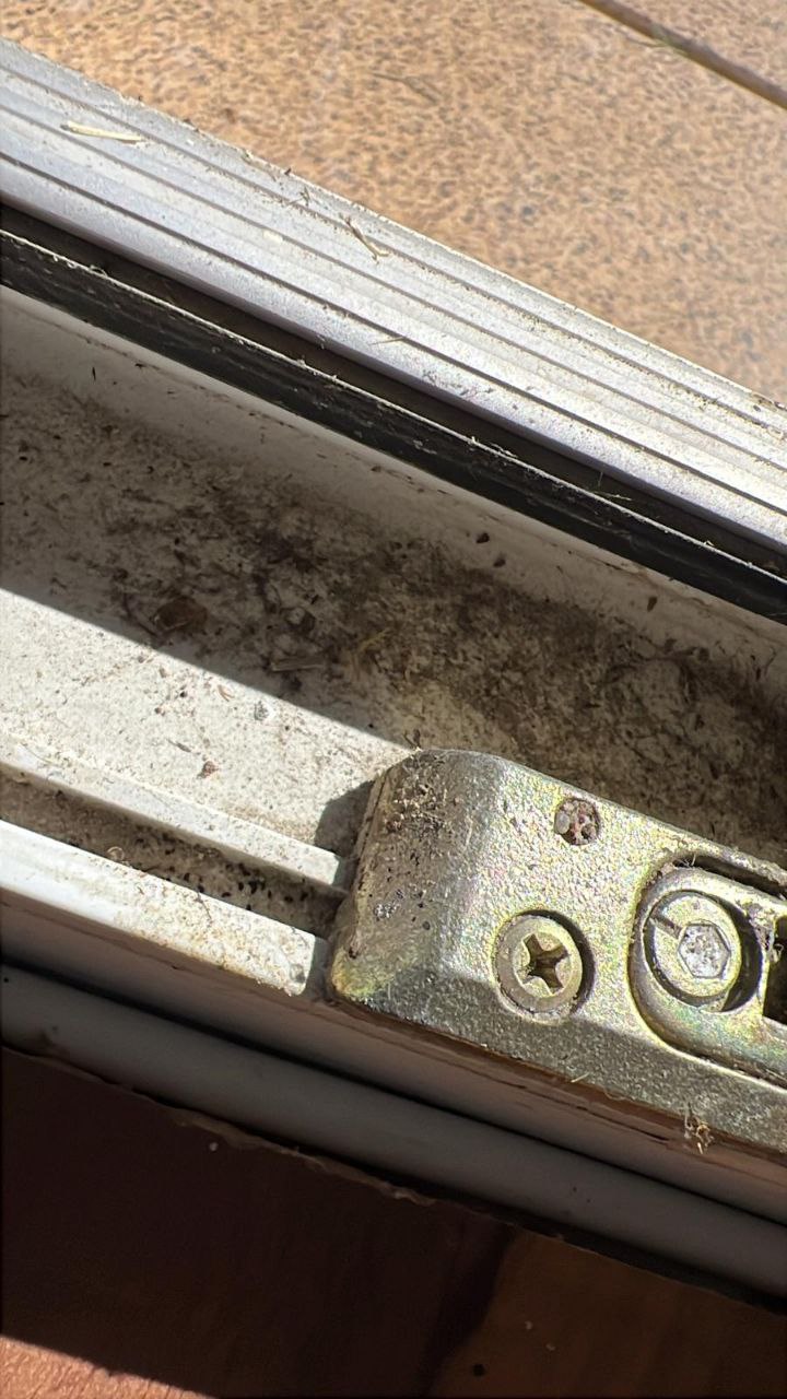 Professionelle Reinigung 15